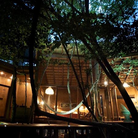 Ojo De Arbol, Boutique Cabin In The Real Jungle Τουλούμ Εξωτερικό φωτογραφία