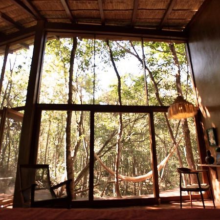Ojo De Arbol, Boutique Cabin In The Real Jungle Τουλούμ Εξωτερικό φωτογραφία