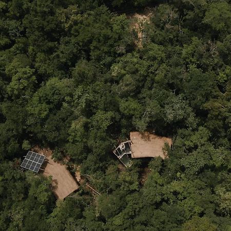 Ojo De Arbol, Boutique Cabin In The Real Jungle Τουλούμ Εξωτερικό φωτογραφία