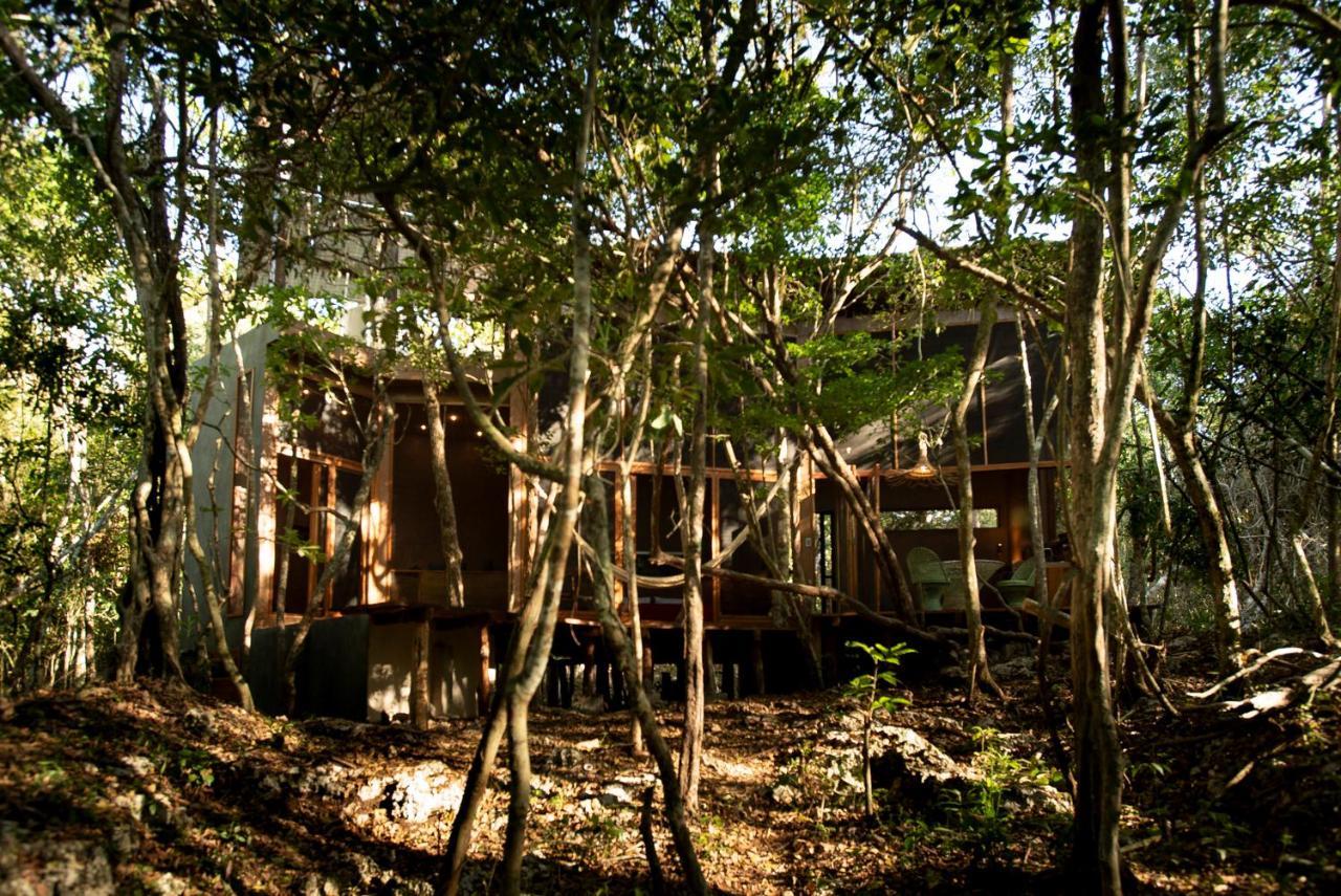 Ojo De Arbol, Boutique Cabin In The Real Jungle Τουλούμ Εξωτερικό φωτογραφία