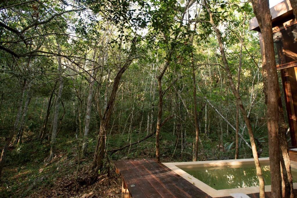 Ojo De Arbol, Boutique Cabin In The Real Jungle Τουλούμ Εξωτερικό φωτογραφία