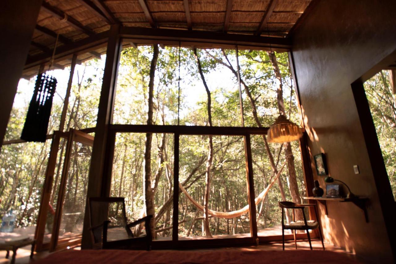 Ojo De Arbol, Boutique Cabin In The Real Jungle Τουλούμ Εξωτερικό φωτογραφία