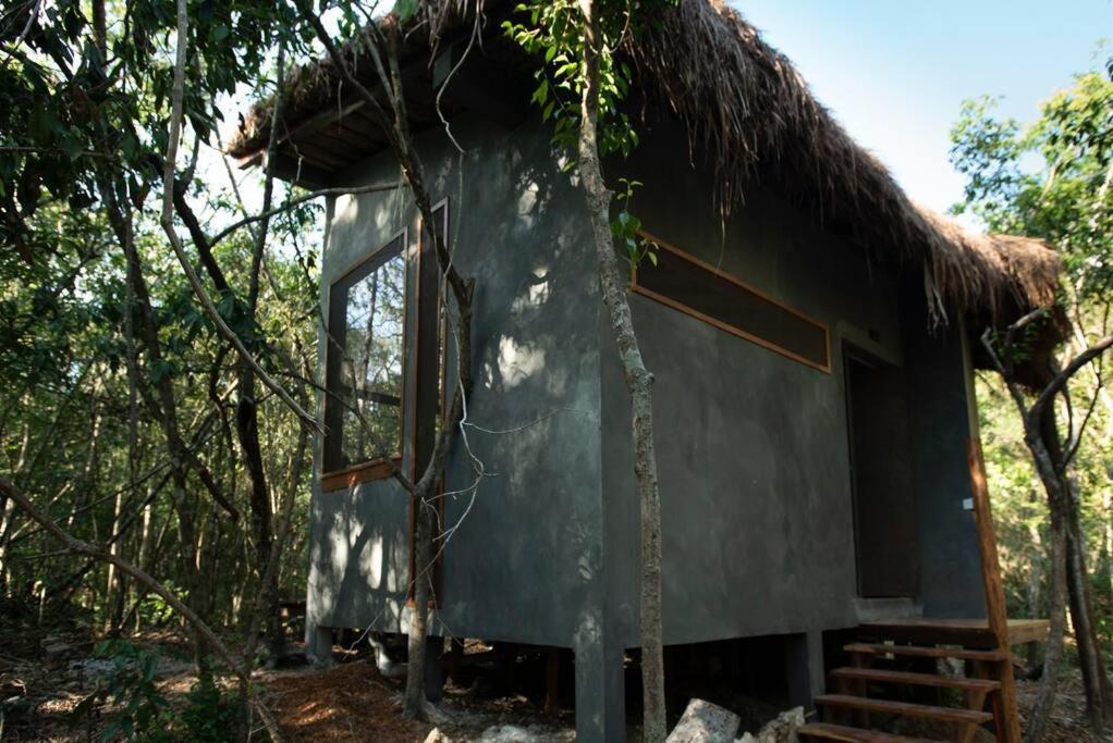 Ojo De Arbol, Boutique Cabin In The Real Jungle Τουλούμ Εξωτερικό φωτογραφία