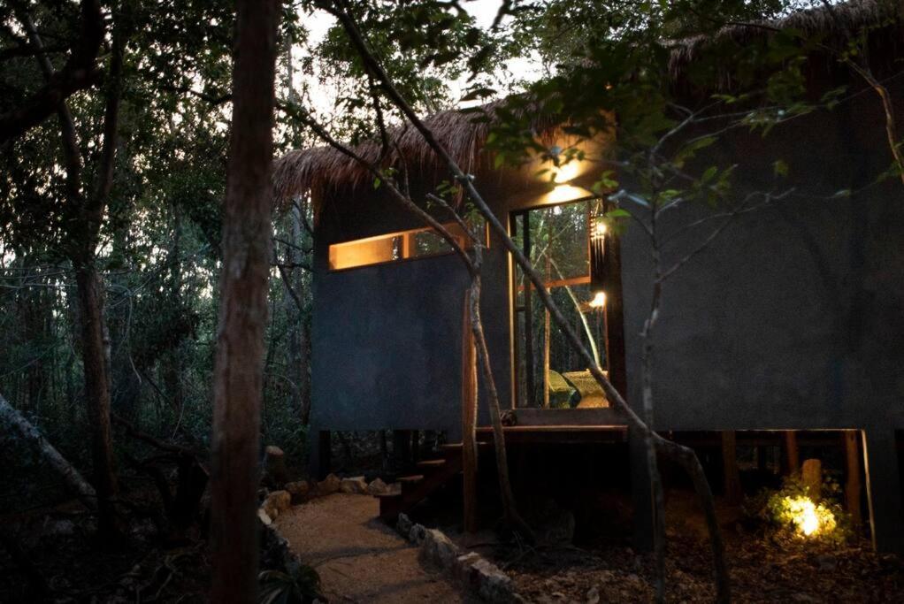 Ojo De Arbol, Boutique Cabin In The Real Jungle Τουλούμ Εξωτερικό φωτογραφία